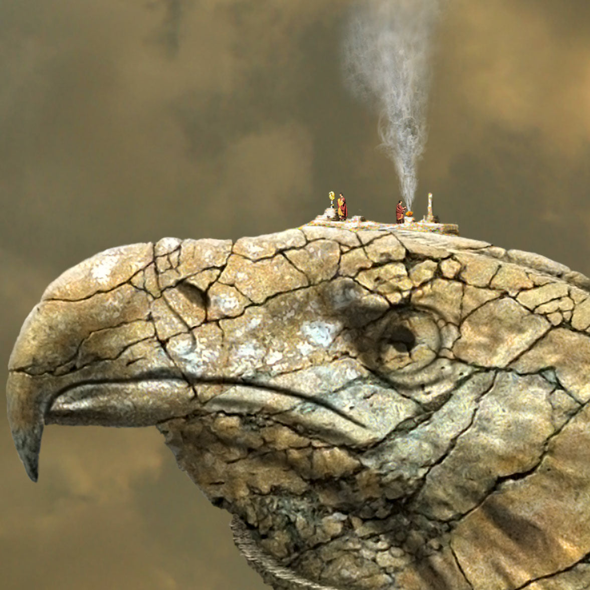 Eagle eye_Leinwand dick