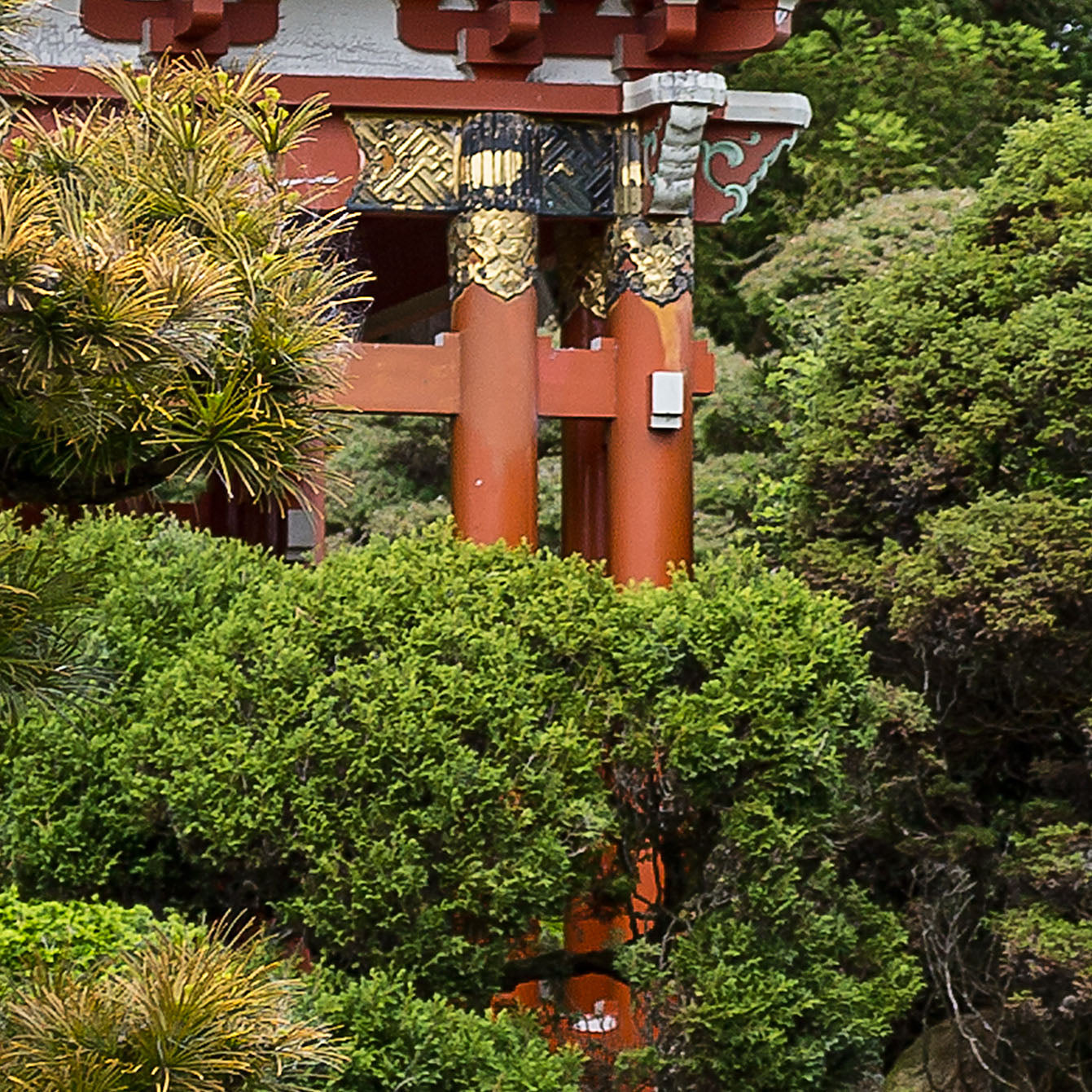 Japanischer Garten 01 - Gerahmte Leinwand