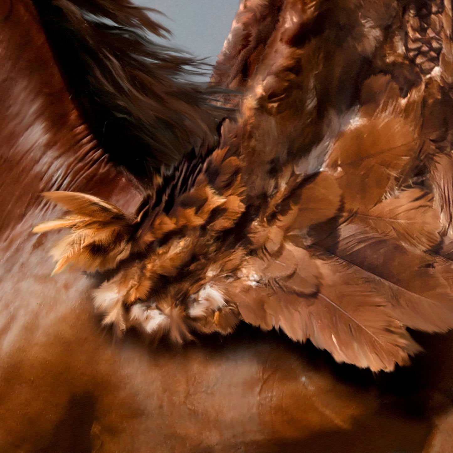 Pegasus - Gerahmte Leinwand
