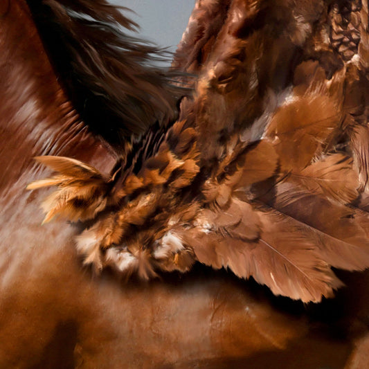 Pegasus - Kunstdruck+ weißer Rand